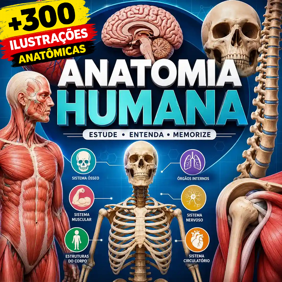 Mockup do material Anatomia Ilustrada