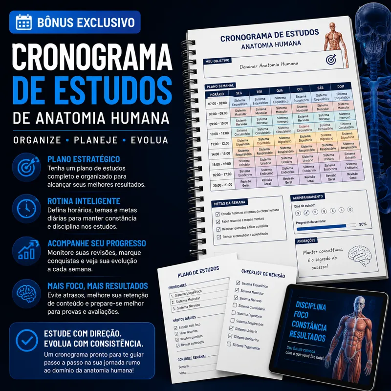 Cronograma de Estudos