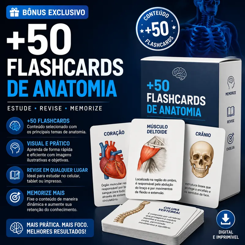 +50 Flashcards de Anatomia