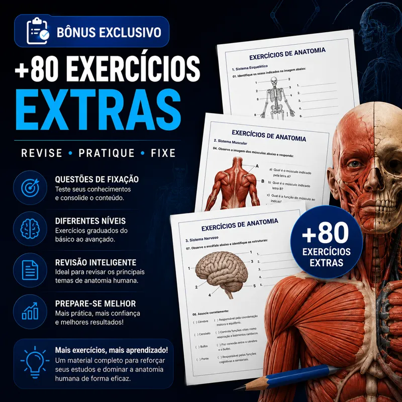 +80 Exercícios Extras